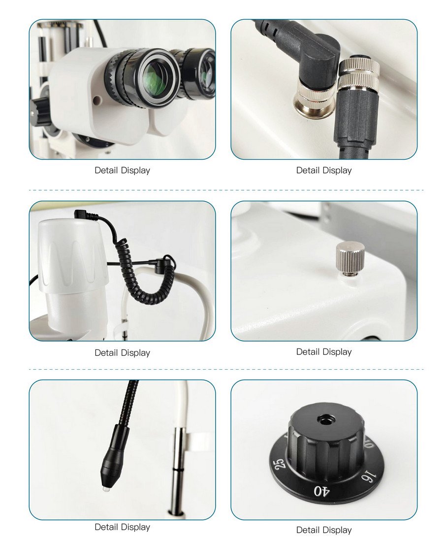 SL-520 structure image