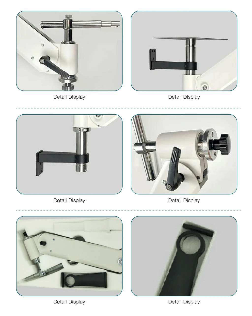 PA-1 functional illustration image