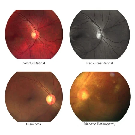 real-time images display real-time images display